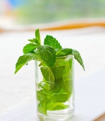 薄荷DIY減肥食譜清涼瘦身