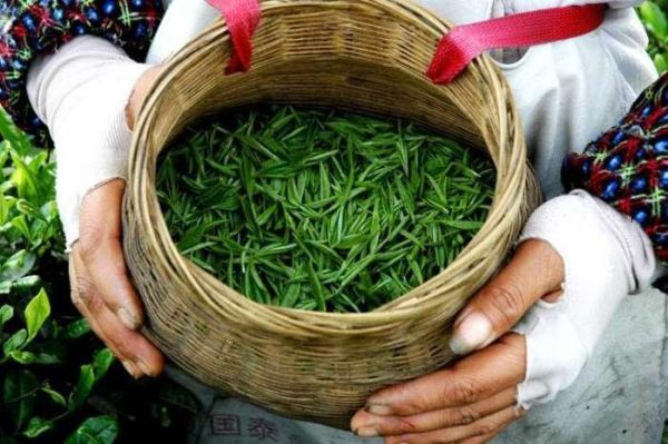 喝茶是一种健康的途径,平时养成一个健康的生活方式会更好哦