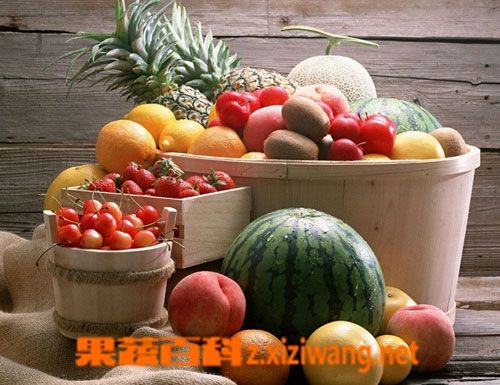 果蔬百科晚餐只吃水果能減肥嗎