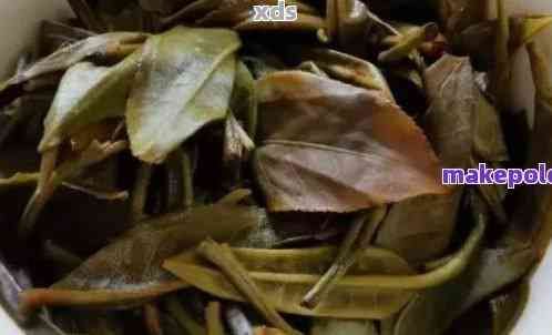 普洱茶渣子太多？教你如何有效過(guò)濾與去除茶渣