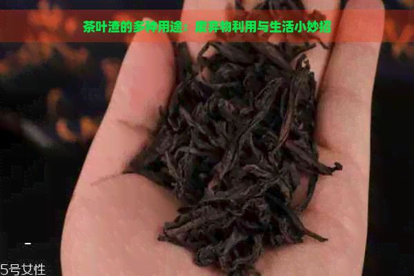茶叶渣的多种用途：废弃物利用与生活小妙招
