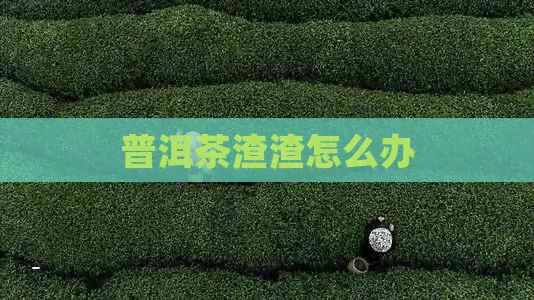 普洱茶渣渣怎么办