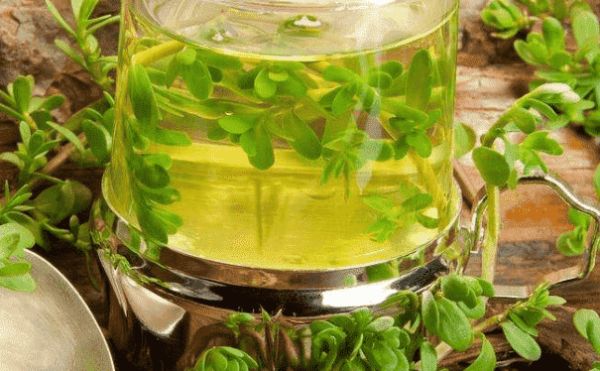 綠茶有什么美容功效？如何使用綠茶美容？(1)