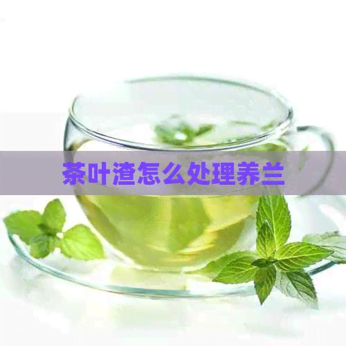 茶葉渣怎么處理養(yǎng)蘭