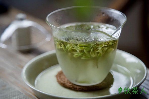 綠茶減肥法3天瘦十斤，讓你體重蹭蹭下掉