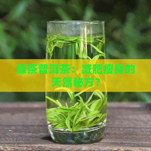 綠茶普洱茶：減肥瘦身的天然秘方？