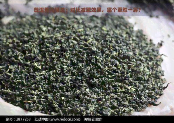 普洱茶與綠茶：對比減肥效果，哪個(gè)更勝一籌？