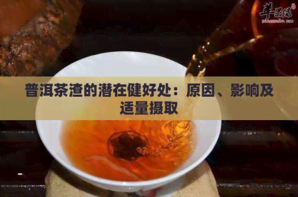 普洱茶渣的潛在健好處：原因、影響及適量攝取