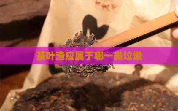 茶葉渣應(yīng)屬于哪一類垃圾