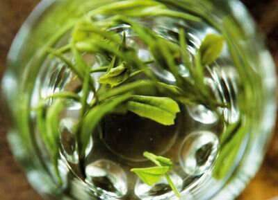 绿茶