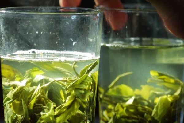 除濕氣喝什么茶，綠茶/烏龍茶/紅豆薏仁茶/冬瓜荷葉茶