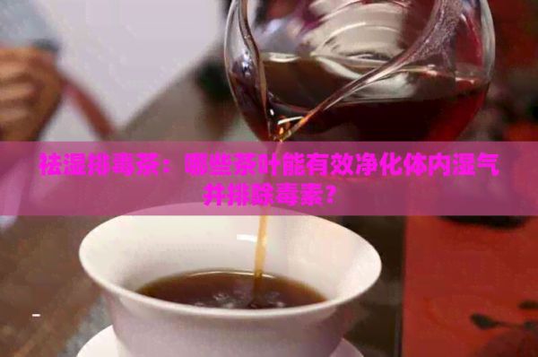 祛濕排茶：哪些茶葉能有效凈化體內(nèi)濕氣并排除素？