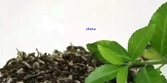 茶葉渣的妙用：如何將其轉(zhuǎn)化為花盆種植的綠色肥料？