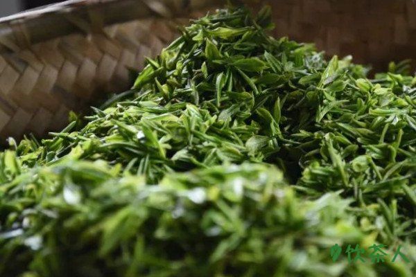 綠茶制作六個(gè)工序，手工炒制綠茶的最佳方法(制作過(guò)程詳細(xì))