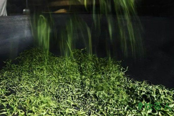 綠茶制作六個(gè)工序，手工炒制綠茶的最佳方法(制作過(guò)程詳細(xì))