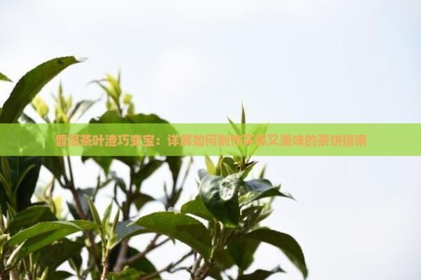 普洱茶葉渣巧變寶：詳解如何制作環(huán)保又美味的茶餅指南