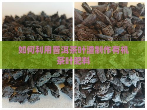如何利用普洱茶叶渣制作有机茶叶肥料