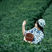 成都学生品茶上课群工作室绿茶的手工制作的做法图解1