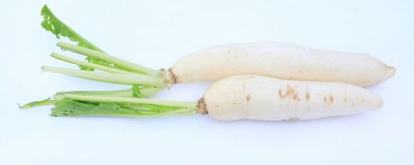 蘿卜潤肺止咳湯 蘿卜止咳湯做法 潤肺止咳湯有哪些
