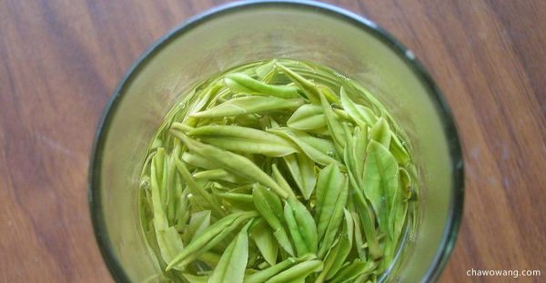 喝綠茶的壞處是什么