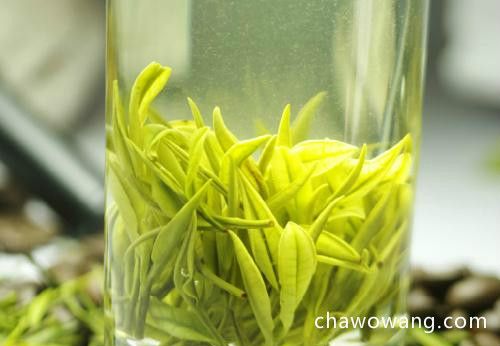 喝綠茶的壞處是什么