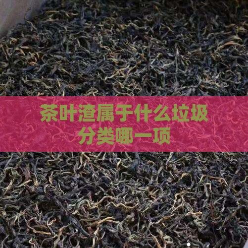 茶葉渣屬于什么垃圾分類哪一項