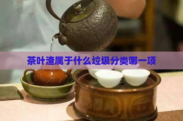 茶葉渣屬于什么垃圾分類哪一項