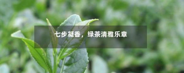 七步凝香，綠茶清雅樂章-第1張-綠茶-鳳凰單叢茶網(wǎng)