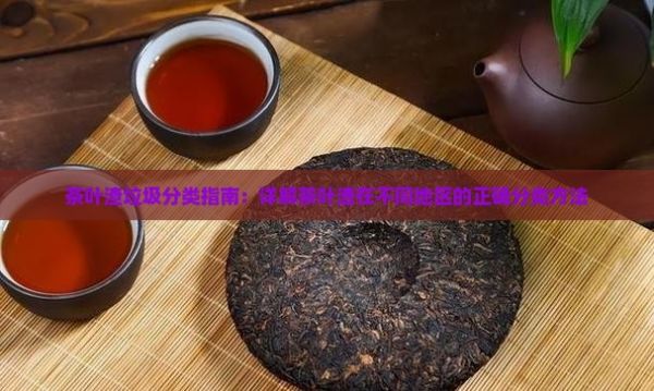 茶叶渣垃圾分类指南：详解茶叶渣在不同地区的正确分类方法