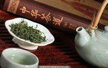 綠茶茶藝