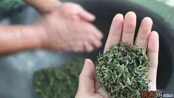 掌握綠茶氧化處理技巧：保持其新與風(fēng)味的關(guān)鍵因素