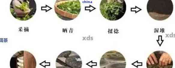 掌握綠茶氧化處理技巧：保持其新與風(fēng)味的關(guān)鍵因素