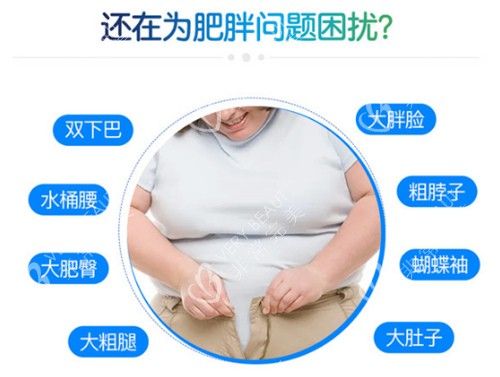 肥胖的不同部位表現(xiàn)
