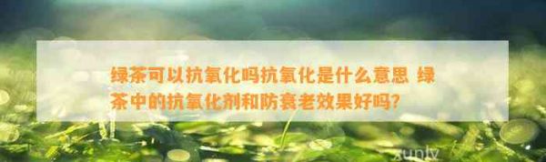 綠茶可以抗氧化嗎抗氧化是什么意思 綠茶中的抗氧化劑和防衰老效果好嗎？