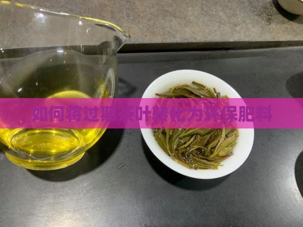 如何將過期茶葉轉(zhuǎn)化為環(huán)保肥料