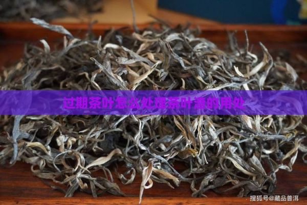 過期茶葉怎么處理茶葉渣的用處