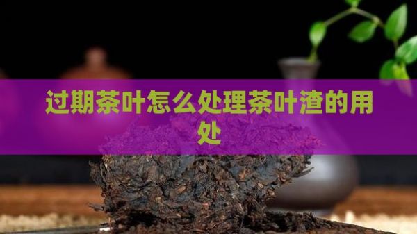 過期茶葉怎么處理茶葉渣的用處