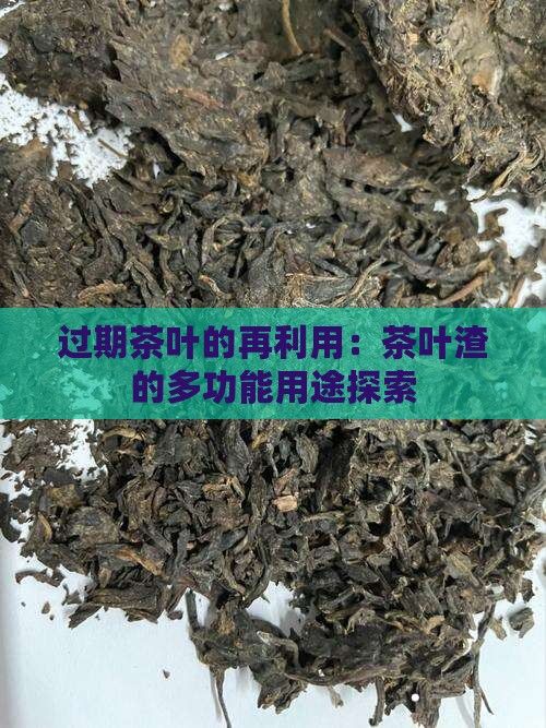 過期茶葉的再利用：茶葉渣的多功能用途探索