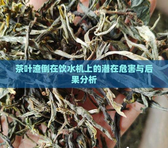 茶葉渣倒在飲水機上的潛在危害與后果分析