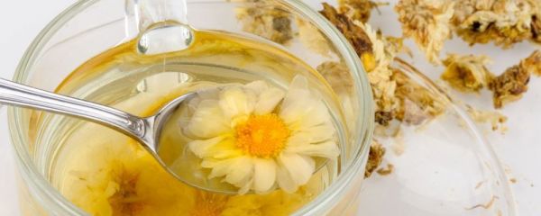 秋季喝什么茶養(yǎng)生 女性秋季喝什么茶對身體好 最適合秋天喝的10款養(yǎng)生茶
