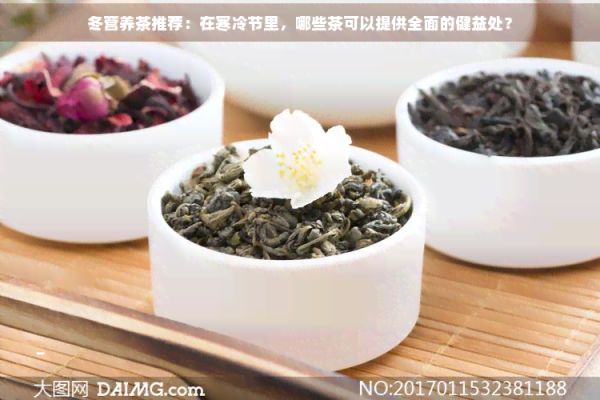 冬营养茶推荐:在寒冷节里,哪些茶可以提供全面的健益处?