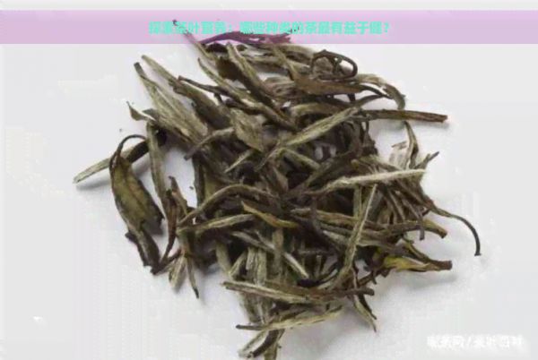探索茶葉營養(yǎng)：哪些種類的茶最有益于??？