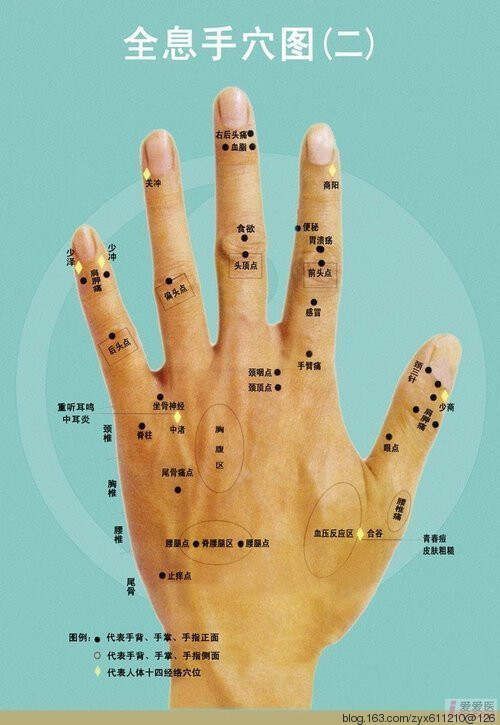 手指健康與按摩 - 衍生象 - 衍生象