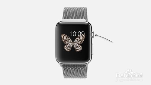 苹果手表Apple Watch怎么重新设定运动量？