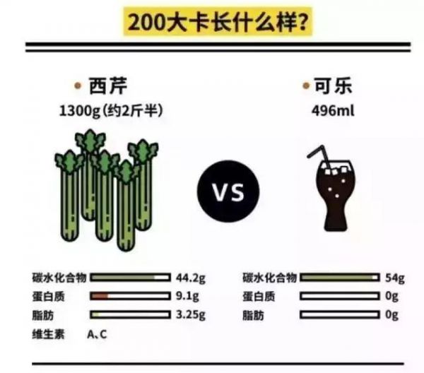 一篇文章看懂“卡路里”！減肥事半功倍哦！