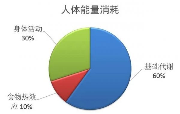 熱量缺口計(jì)算全攻略：科學(xué)公式與安全范圍掌握(圖2)