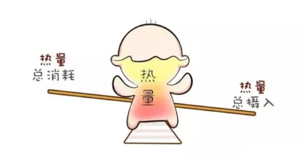 熱量缺口計(jì)算全攻略：科學(xué)公式與安全范圍掌握(圖1)