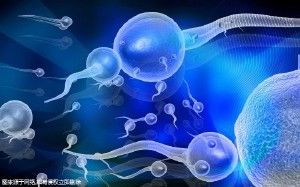 十大嬰兒護(hù)臀霜排行榜 嬰兒護(hù)臀霜品牌怎么選