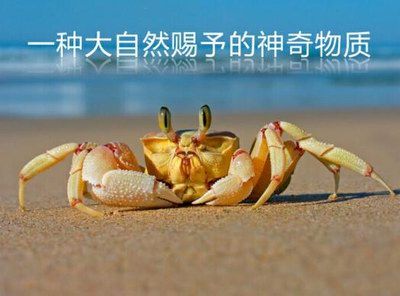 人体生命健康第六要素——甲壳多糖