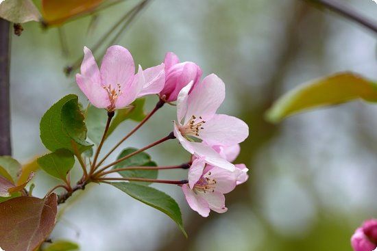 針灸減肥3大優(yōu)勢帶你健康瘦身重溫窈窕